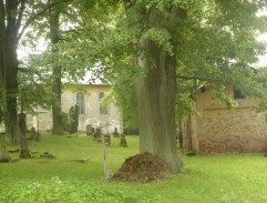 View of the church