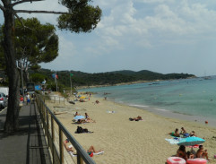 Investigation on the Plage Des Boucaniers