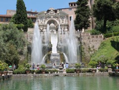 Shootout in the Garden